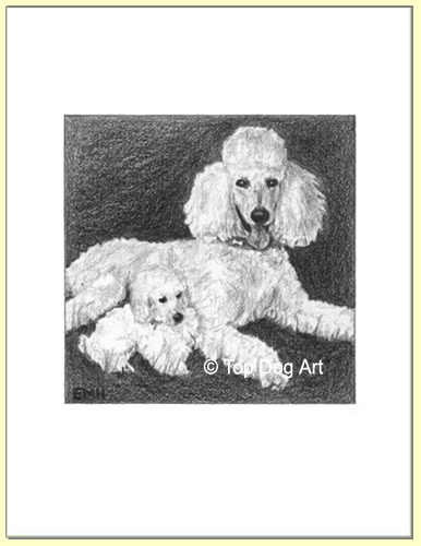 poodle-and-pup-unframed1.gif